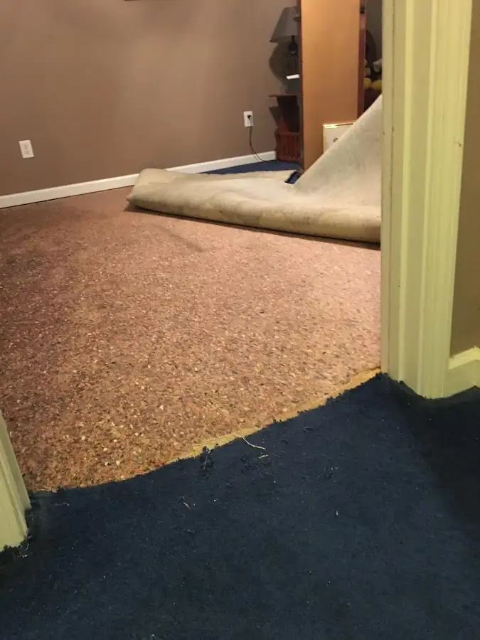 Carpet pad removal revealing water damage during Water Mitigation Services in Sandy